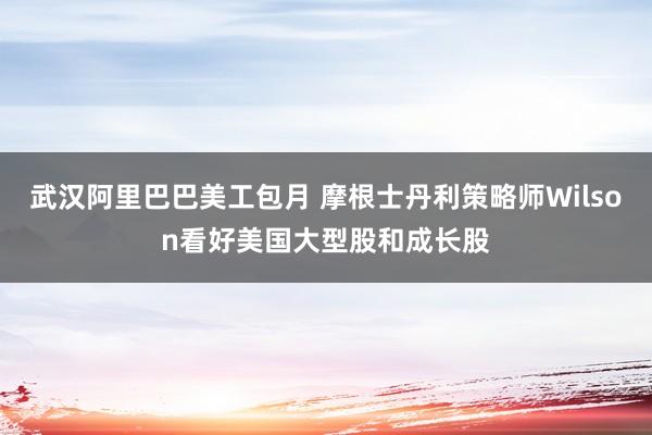 武汉阿里巴巴美工包月 摩根士丹利策略师Wilson看好美国大型股和成长股